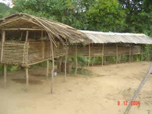 Rabbit House