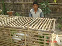 Rabbit House